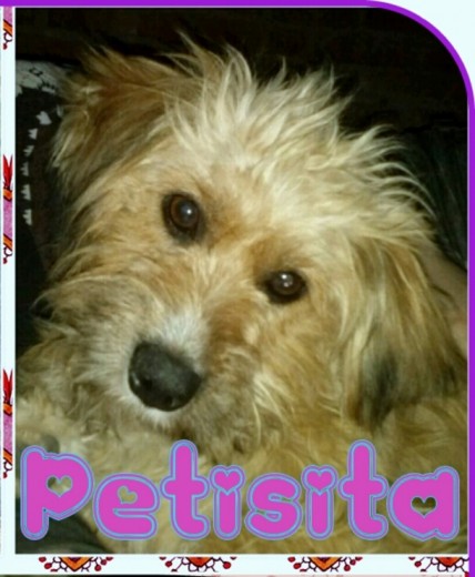 Petisita <3 Petisita <3